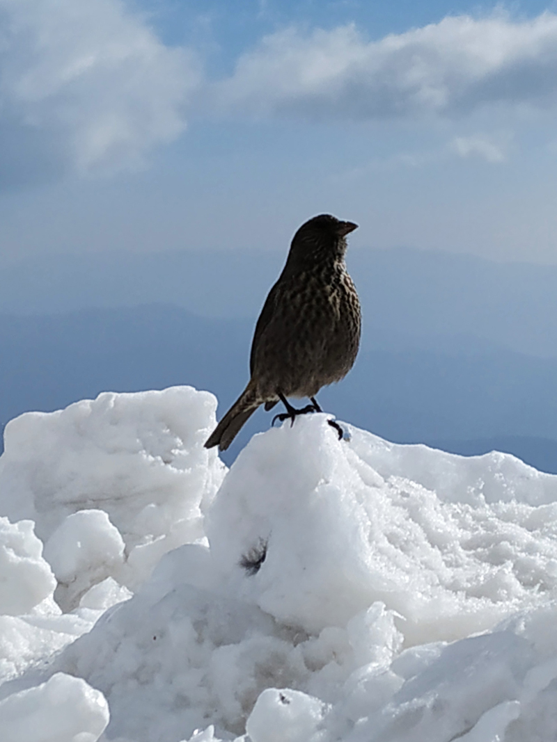 STONKAM?組織2018年度優(yōu)秀員工云南6天游