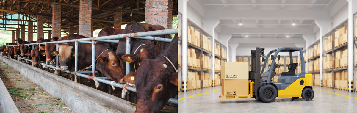 7寸高清數(shù)字無(wú)線監(jiān)控顯示器